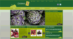 Desktop Screenshot of caterway.ie